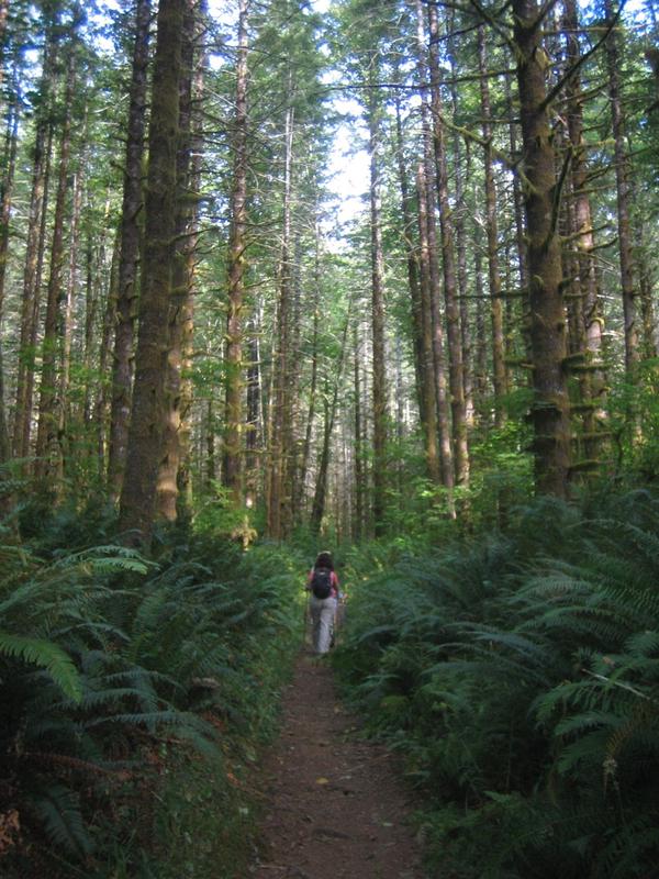 Elk-Kings Traverse