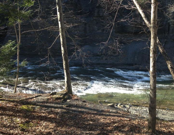 Main image for First Trail Run of 2015