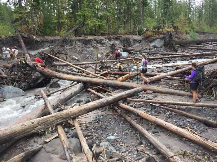 Littered with logs Littered with logs