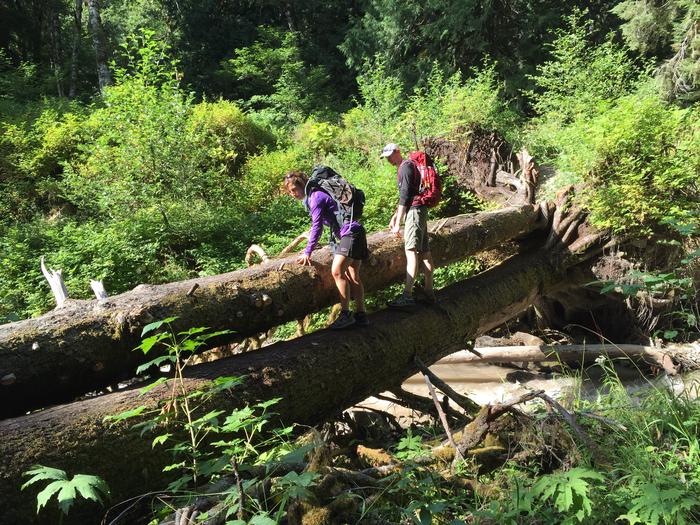 Log crossing Log crossing