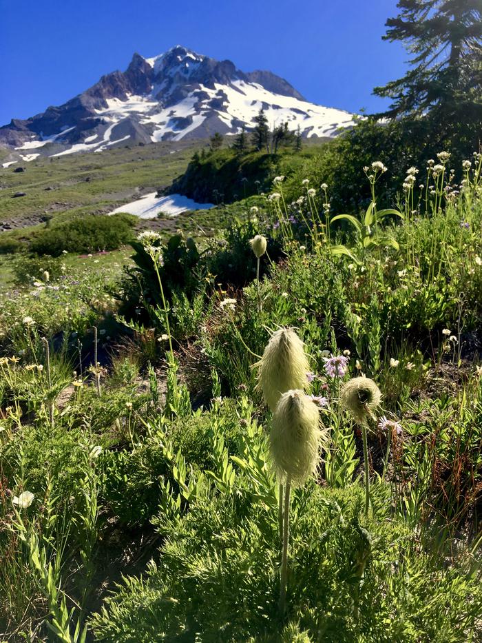 Paradise Park - photo credit - Sarah Klain Paradise Park - photo credit - Sarah Klain