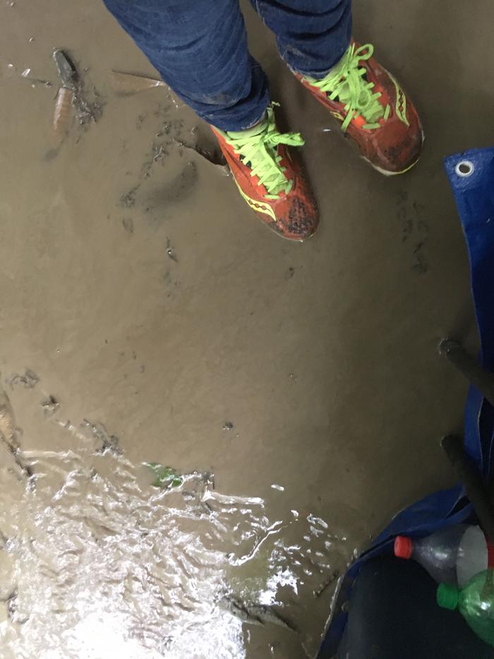 The river we stood in all morning! The river we stood in all morning!