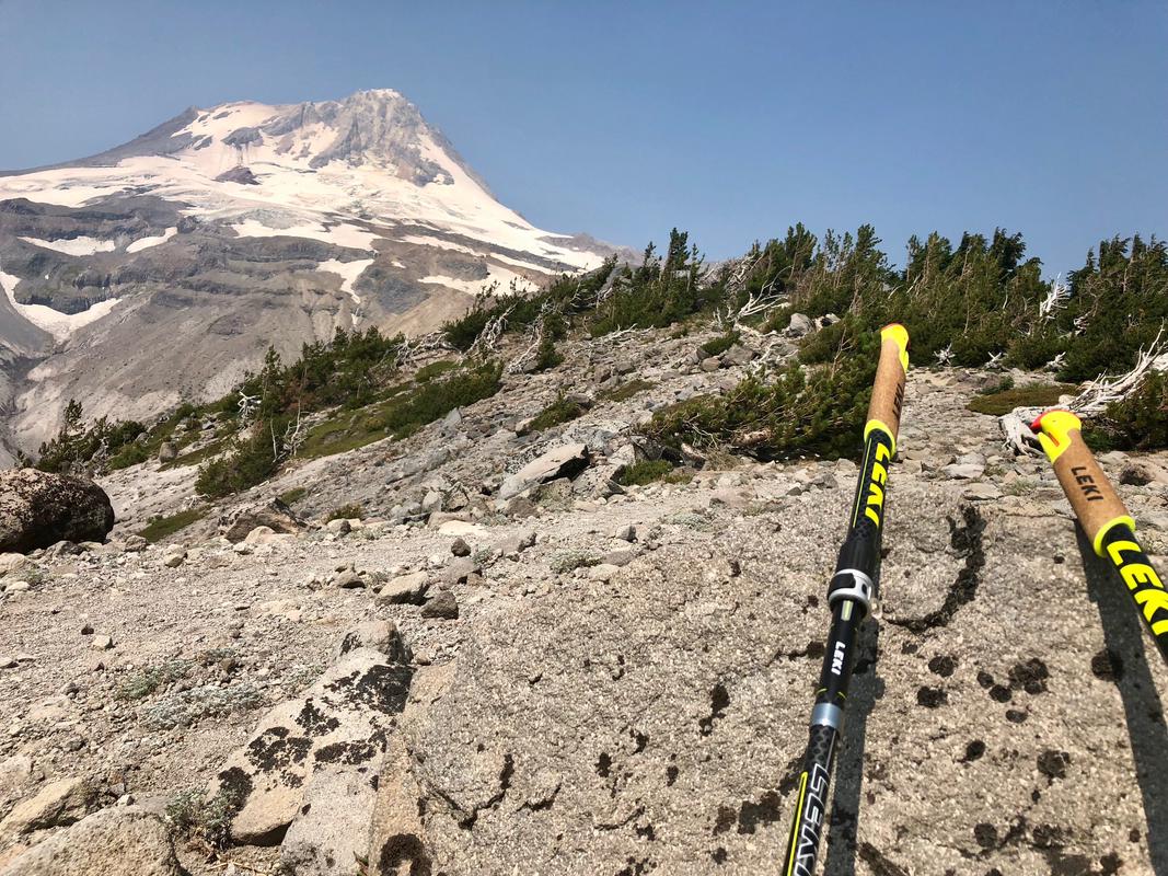 The view of Mt. Hood from the top