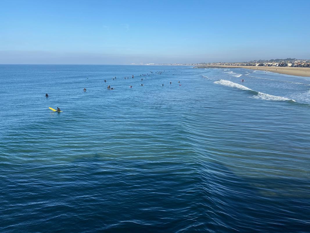 Surfers