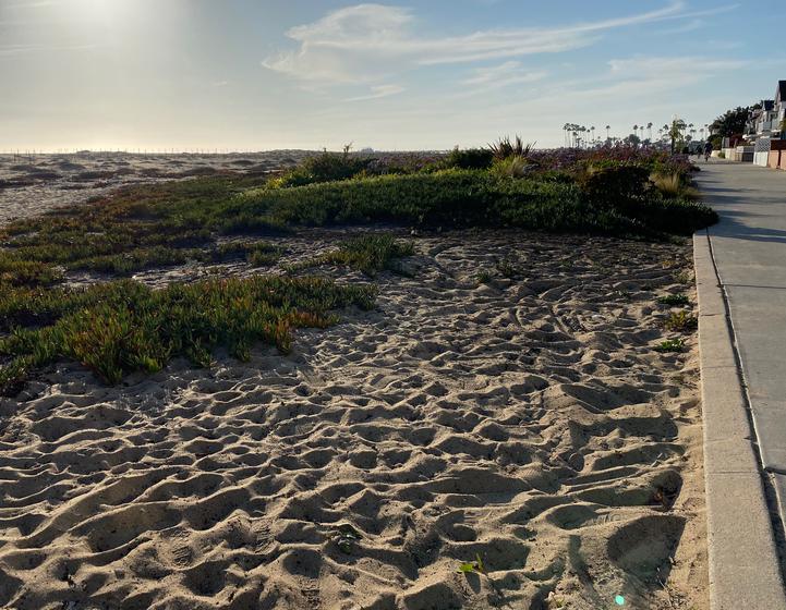 Main image for Mountains 2 Beach Training Week 7